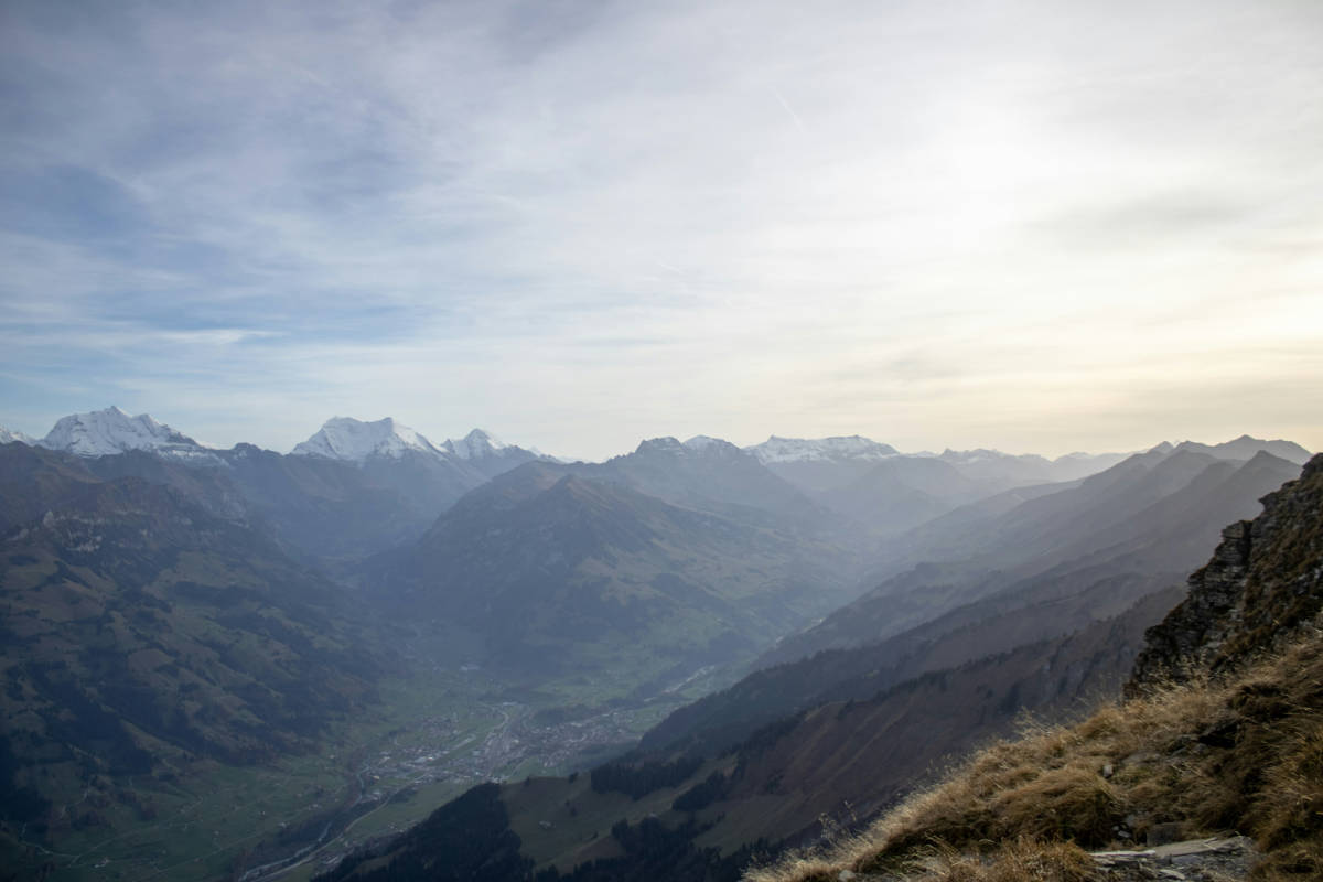 Vertrauen und Verlässlichkeit
