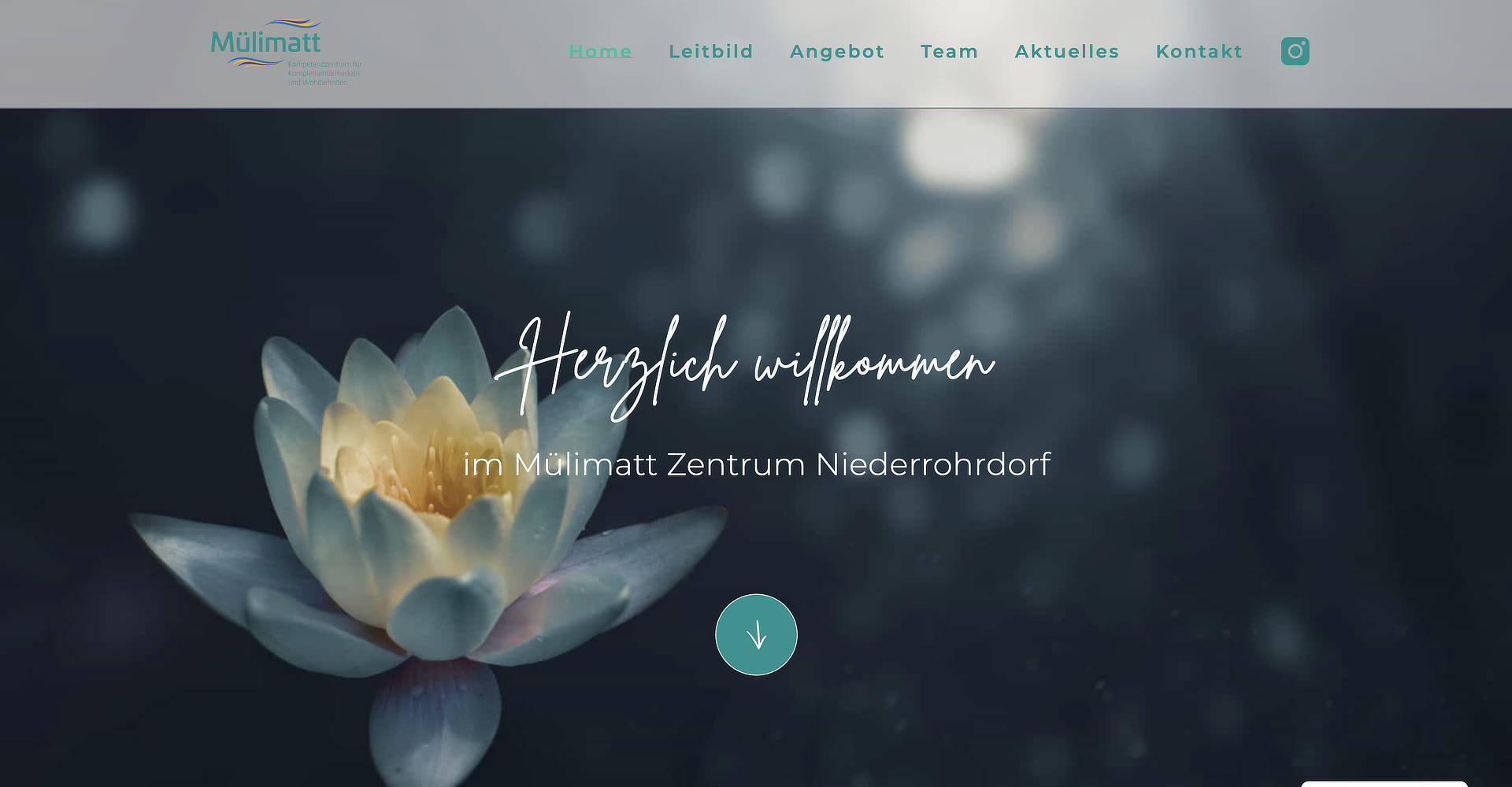 Mülimattzentrum – Website