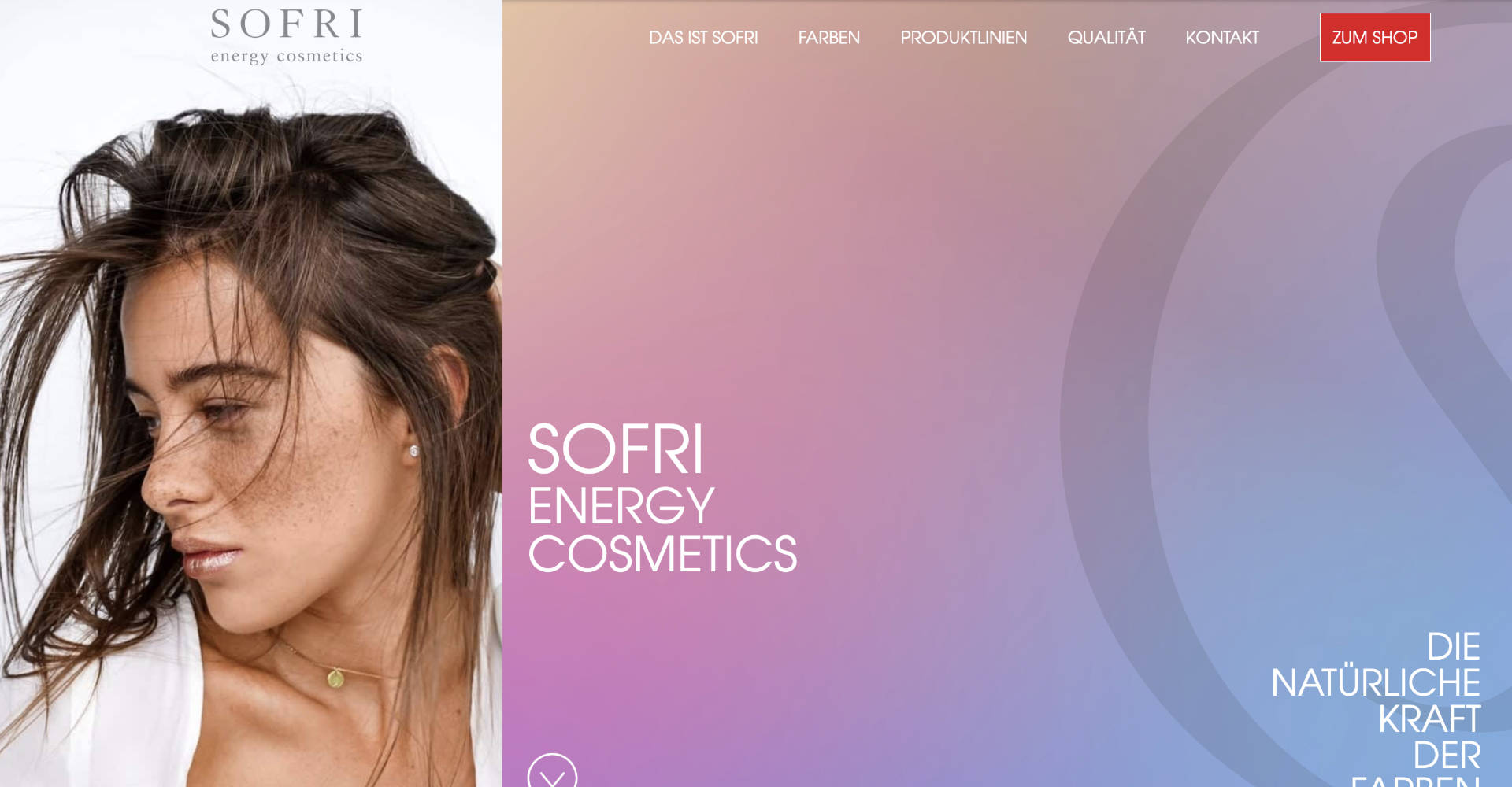 Sofri – Website