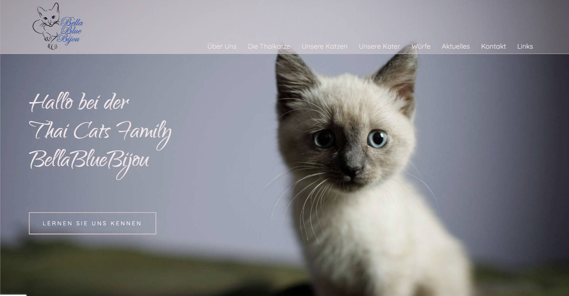 Thai Cats Family – Website